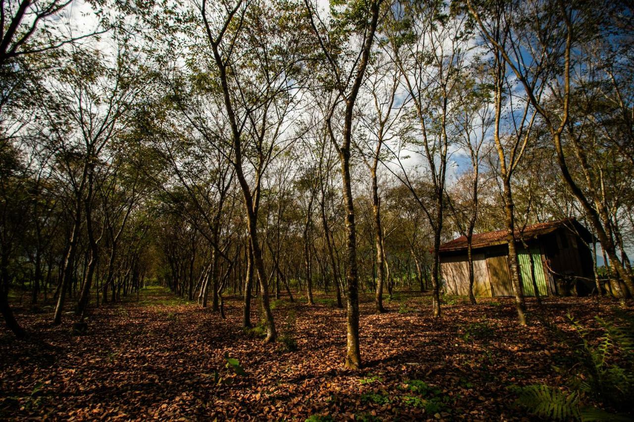 Countryside B&B Ruisui Luaran gambar